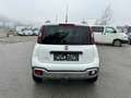Fiat Panda 1.3 JTD95 4x4 Cross Weiß - thumbnail 5