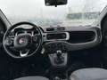 Fiat Panda 1.3 JTD95 4x4 Cross Weiß - thumbnail 10