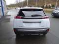 Peugeot 2008 Allure 1.2 145PS *ACC*LM*LED*Klima*Leder* Weiß - thumbnail 7