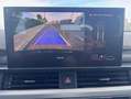 Audi A5 50 Tdi Advance sportback quattro triptonic Negro - thumbnail 13