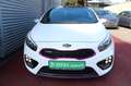 Kia ProCeed / pro_cee'd pro cee'd GT KLIMA NAVI ALU PDC MULTI 1.Hd Білий - thumbnail 14