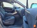 Lexus NX 300 300h Executive Navigation 4WD Gris - thumbnail 17