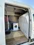 Renault Master - thumbnail 3