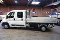 Fiat Ducato Pritsche Doppelk. L4 Tüv Serice Neu AHK Blanc - thumbnail 8