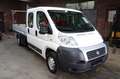 Fiat Ducato Pritsche Doppelk. L4 Tüv Serice Neu AHK Blanc - thumbnail 3