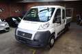 Fiat Ducato Pritsche Doppelk. L4 Tüv Serice Neu AHK Blanc - thumbnail 1