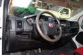 Fiat Ducato Pritsche Doppelk. L4 Tüv Serice Neu AHK Blanc - thumbnail 13