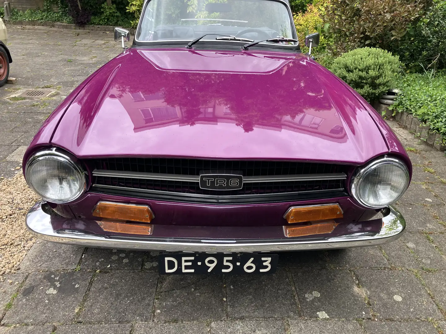 Triumph TR6 Overdrive Violett - 1