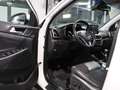 Hyundai TUCSON 1.6 T-GDI 4WD PREMIUM GASANLAGE, PANORAMA Weiß - thumbnail 15