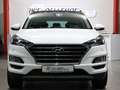 Hyundai TUCSON 1.6 T-GDI 4WD PREMIUM GASANLAGE, PANORAMA Weiß - thumbnail 6