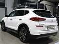 Hyundai TUCSON 1.6 T-GDI 4WD PREMIUM GASANLAGE, PANORAMA Weiß - thumbnail 10