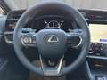 Lexus RZ 500e Executive Allrad 380 PS Grau - thumbnail 12