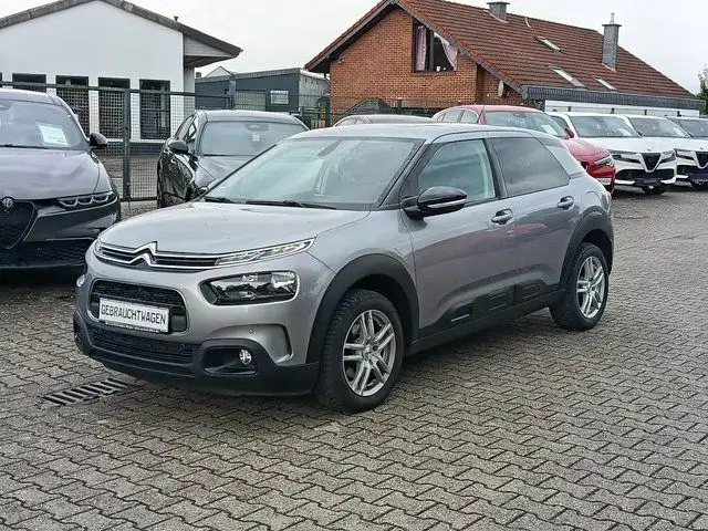 Citroen C4 Cactus Shine #Panorama #SHZG