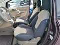 Ford Ka/Ka+ 1.2 8V 69cv TITANIUM Braun - thumbnail 8