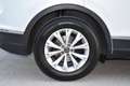 Volkswagen Tiguan 2.0 TDI BMT Life / Anhängerkupplung / Sitzheizung Weiß - thumbnail 10