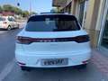 Porsche Macan Macan 2.0 245cv pdk Bianco - thumbnail 5