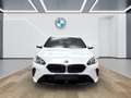 BMW 120 [M Sport, Navi, 18" LMR, RFK, SHZ, LED] DAB Weiß - thumbnail 11