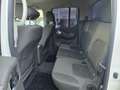 Nissan Navara NAVARA 2.5 DCI 190CV IN PERFETTE CONDIZIONI Weiß - thumbnail 13