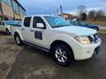 Nissan Navara NAVARA 2.5 DCI 190CV IN PERFETTE CONDIZIONI Weiß - thumbnail 8
