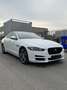 Jaguar XE 2.0d Prestige Business edition 180cv auto - thumbnail 3