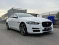 Jaguar XE 2.0d Prestige Business edition 180cv auto - thumbnail 2