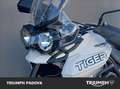 Triumph Tiger 800 XCx Bianco - thumbnail 10