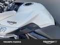 Triumph Tiger 800 XCx Bianco - thumbnail 9
