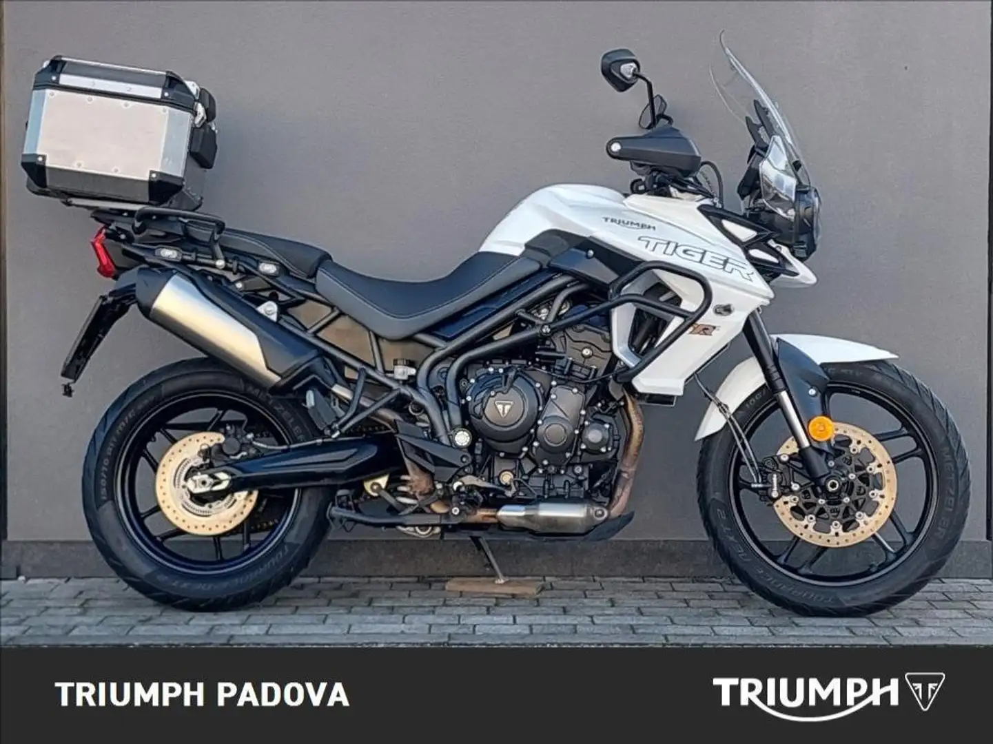 Triumph Tiger 800 XCx Bianco - 1