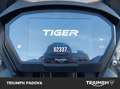 Triumph Tiger 800 XCx Blanc - thumbnail 13