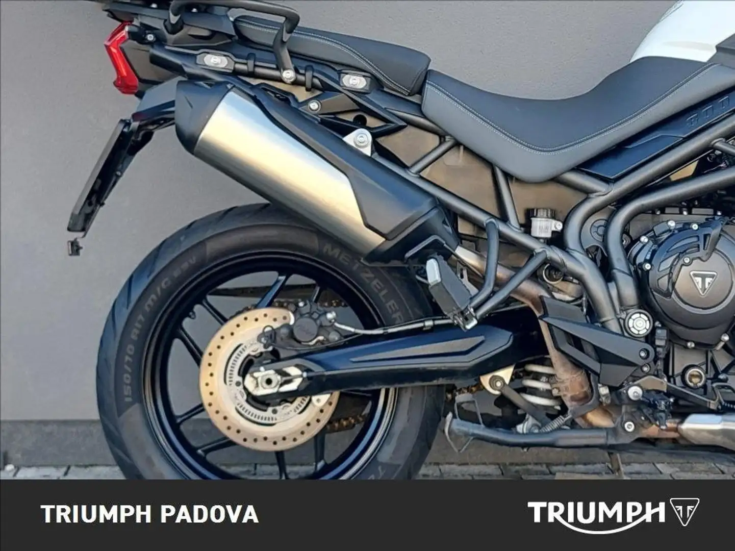 Triumph Tiger 800 XCx Bianco - 2