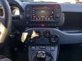 Fiat Panda Panda III 2021 Cross 1.0 firefly hybrid Cross s Blu/Azzurro - thumbnail 13