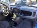 Fiat Panda Panda III 2021 Cross 1.0 firefly hybrid Cross s Blu/Azzurro - thumbnail 10