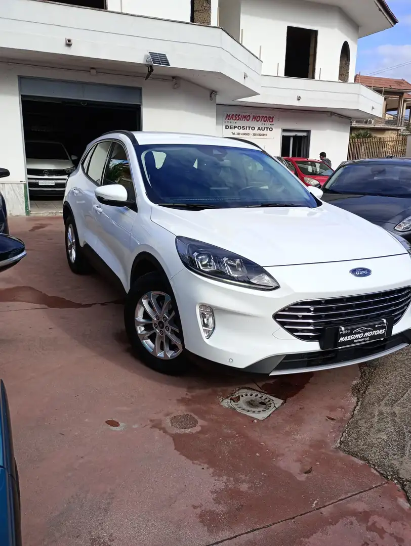 Ford Kuga 1.5 EcoBlue 120 CV aut. 2WD Titanium Bus - 2