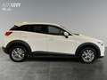 Mazda CX-3 2.0 SKYACTIV-G Exclusive Allwetter+PDC+Tempo Weiß - thumbnail 7