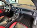 Mercedes-Benz SLK 55 AMG Roadster DISTR+/MEMORY/H&K/DRIV.-PACK Grau - thumbnail 19