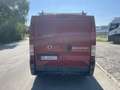 Fiat Ducato 100 (Rs: 3000 mm) Rot - thumbnail 4