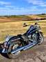 Harley-Davidson Deluxe Softail 107 M8 FLDE - 1750 cc Blu/Azzurro - thumbnail 7