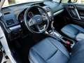 Subaru Forester 2.0i Executive 4.75 CVT Blanc - thumbnail 2