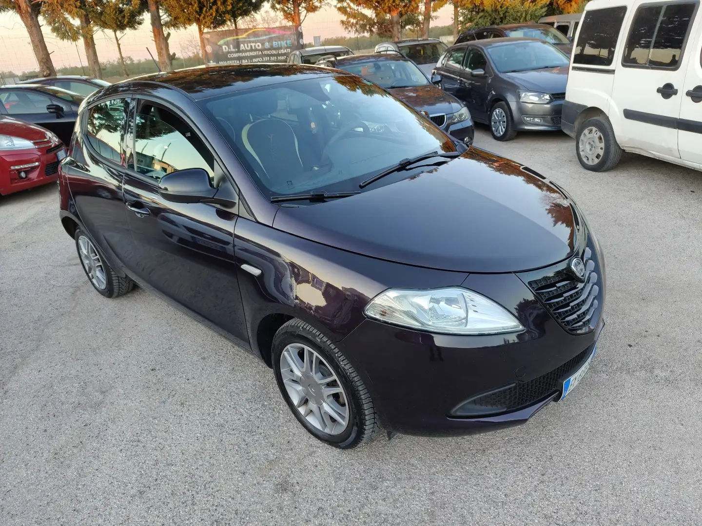 Lancia Ypsilon 1.3 mjt Gold s&s 95cv - 1