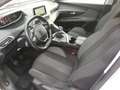 Peugeot 5008 BlueHDi 120 S&S Business Plus Unico Pro Crono Ta Bianco - thumbnail 10