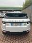 Land Rover Range Rover Evoque 5p 2.0 TD4  150CV 4WD AUTOMATICO STUPENDO Weiß - thumbnail 5