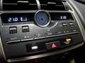 Lexus NX 300 Hybrid 4WD Executive Grau - thumbnail 22