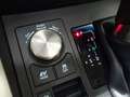Lexus NX 300 Hybrid 4WD Executive Gris - thumbnail 24