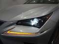 Lexus NX 300 Hybrid 4WD Executive Gris - thumbnail 9