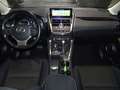 Lexus NX 300 Hybrid 4WD Executive Grijs - thumbnail 14