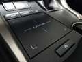 Lexus NX 300 Hybrid 4WD Executive Gris - thumbnail 25