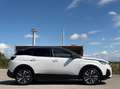 Peugeot 3008 Hybrid4 300 GT*Panorama*Kamera*Allrad* Weiß - thumbnail 12