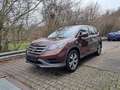 Honda CR-V CR-V 2.2i DTEC 4WD Comfort Brun - thumbnail 3
