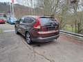 Honda CR-V CR-V 2.2i DTEC 4WD Comfort Brun - thumbnail 4