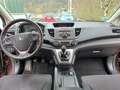 Honda CR-V CR-V 2.2i DTEC 4WD Comfort Brun - thumbnail 14
